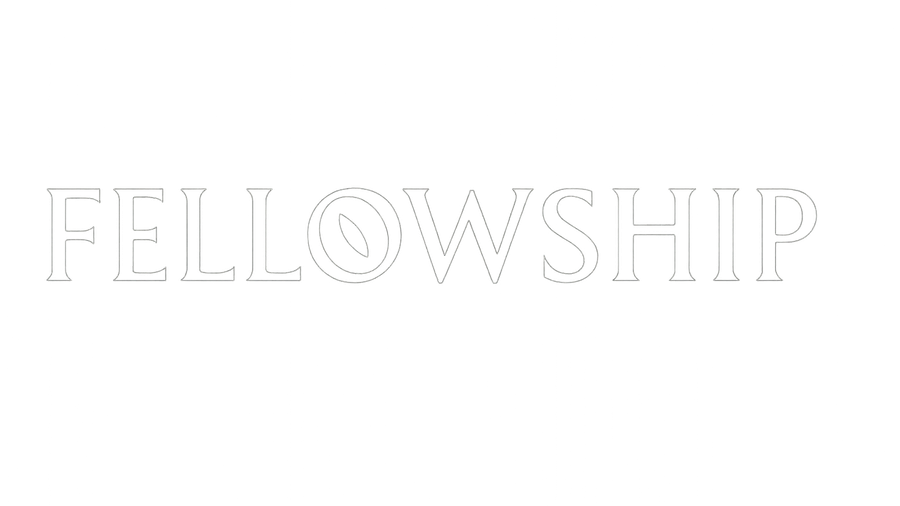 Fellowship Beginner’s Guide